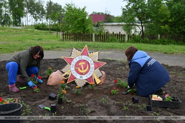 Молодежная клумба появилась в Кричеве
