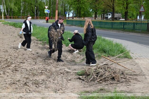 В Кричеве идет активное озеленение