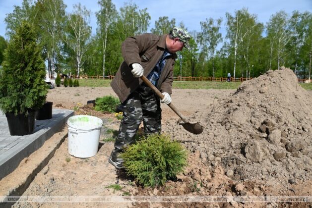 В Кричеве идет активное озеленение