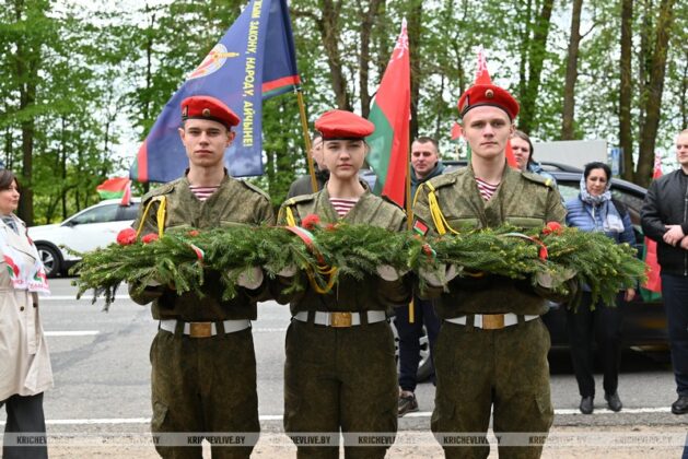 Автопробег «Спасибо, деду, за Победу!» прошел в Кричеве