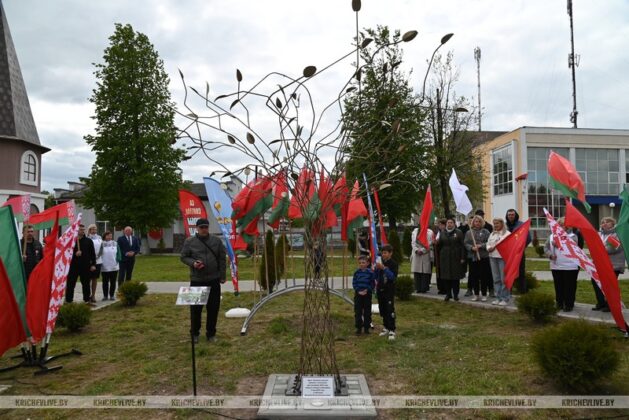 Послание к 100-летию Великой Победы и Дерево памяти: в Кричеве открыли новый арт-объект