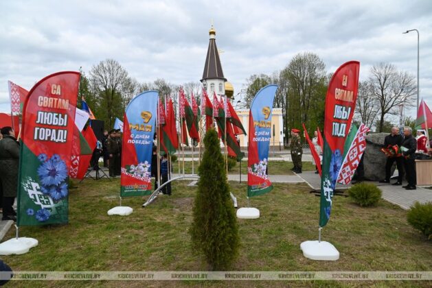 Послание к 100-летию Великой Победы и Дерево памяти: в Кричеве открыли новый арт-объект