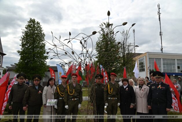 Послание к 100-летию Великой Победы и Дерево памяти: в Кричеве открыли новый арт-объект