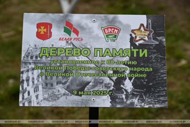 Послание к 100-летию Великой Победы и Дерево памяти: в Кричеве открыли новый арт-объект