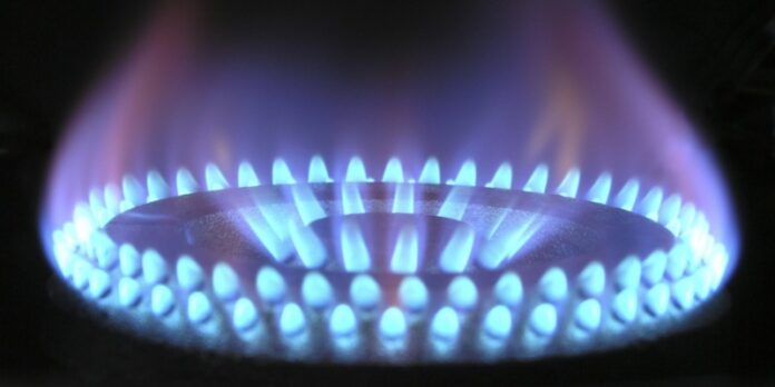 Беларусь вошла в тройку стран по доступности природного газа для населения