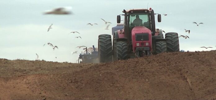 Аграрии Беларуси продолжают посевную кампанию