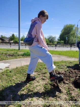 Молодежная клумба появится в Кричеве
