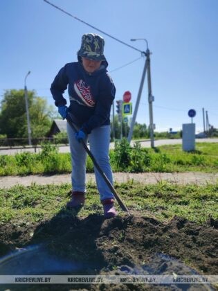 Молодежная клумба появится в Кричеве
