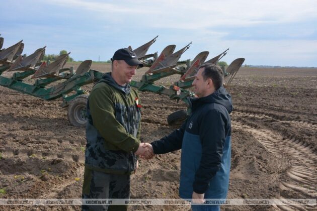 Председатель Кричевского райисполкома Алексей Шарай вручил награды передовикам весенних полевых работ 2025 года