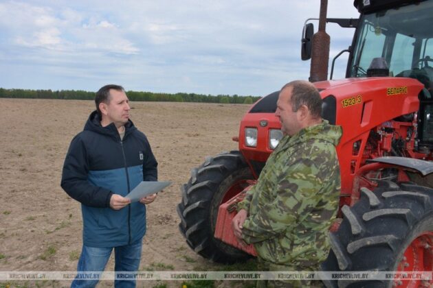 Председатель Кричевского райисполкома Алексей Шарай вручил награды передовикам весенних полевых работ 2025 года