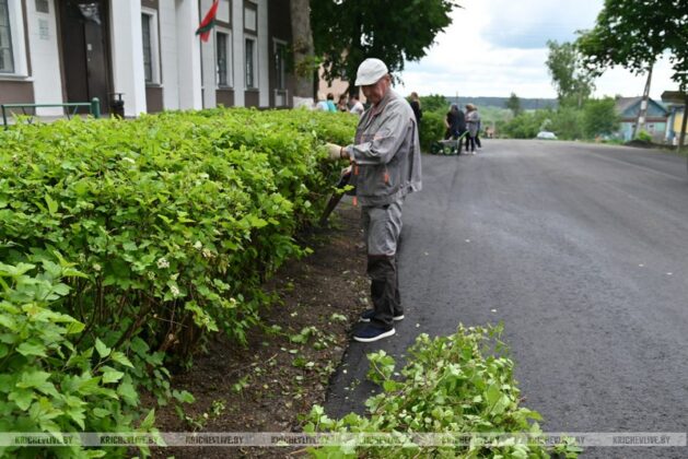 В Кричевском районе прошел субботник (фоторепортаж)