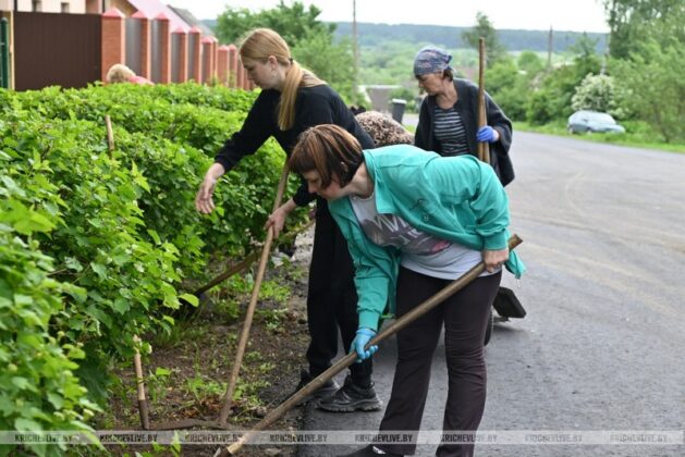 В Кричевском районе прошел субботник (фоторепортаж)