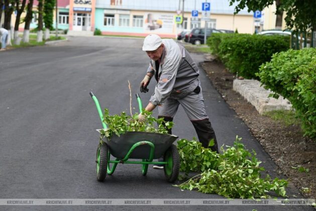 В Кричевском районе прошел субботник (фоторепортаж)