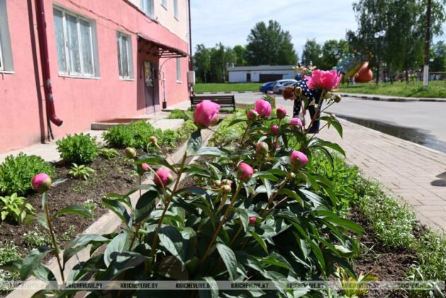 В Кричевском районе прошел субботник (фоторепортаж)