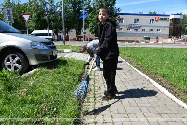 В Кричевском районе прошел субботник (фоторепортаж)