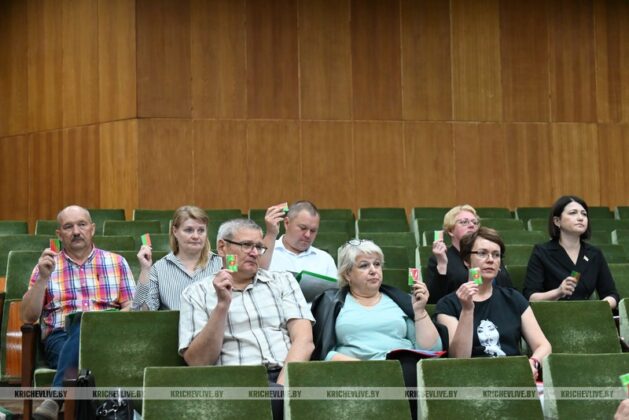 Кричевские депутаты оценили, как реализуется Государственная программа «Социальная защита»