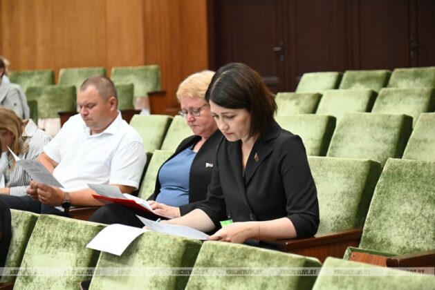 Кричевские депутаты оценили, как реализуется Государственная программа «Социальная защита»