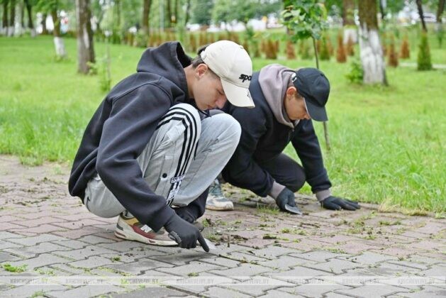 Первый студенческий отряд Кричева трудового семестра-2025 завершает свою работу