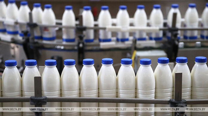 В январе - июне в Беларуси произвели сельхозпродукции на Br12,4 млрд
