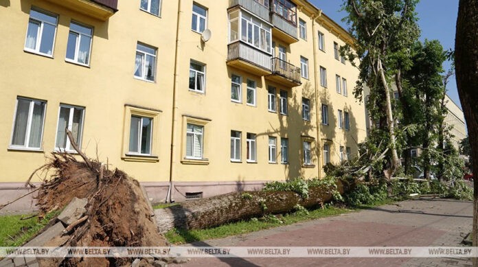 Самостоятельно или с разрешением? В Минприроды рассказали, как правильно убирать упавшие деревья