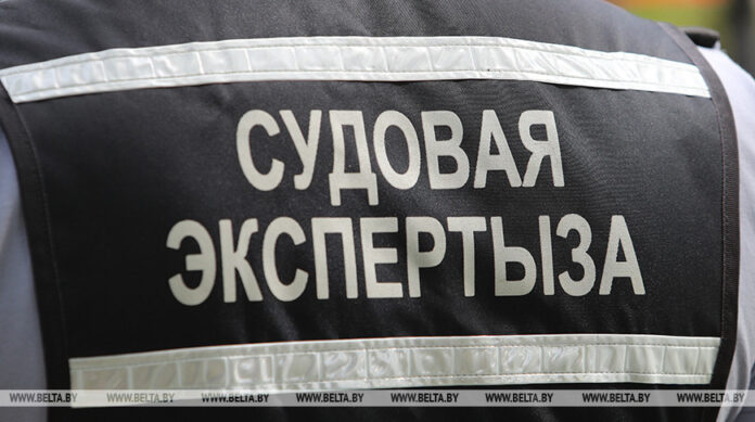 Новый вид судебной экспертизы начали проводить в Могилеве
