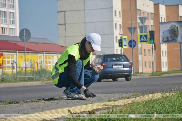 Восьмой студотряд уже приступил к работе в Кричеве