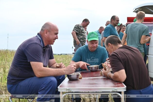 Заводные песни звучат во время уборки для комбайнеров Кричевщины