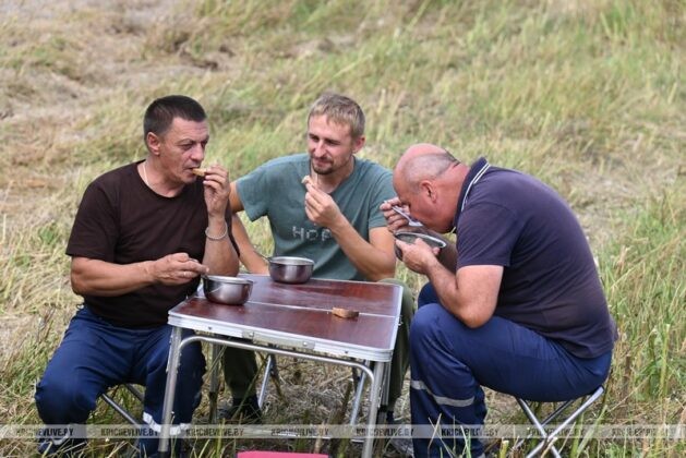 Заводные песни звучат во время уборки для комбайнеров Кричевщины