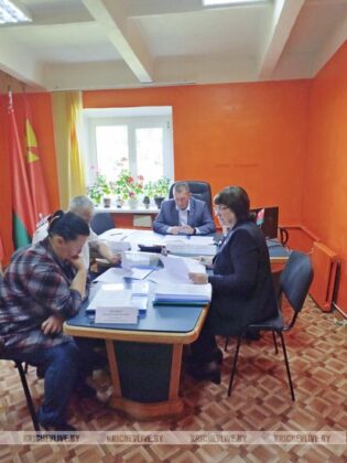 Узнали, какие вопросы рассматривались на заседаниях сельских исполнительных комитетов
