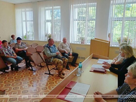 Узнали, какие вопросы рассматривались на заседаниях сельских исполнительных комитетов