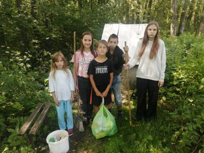 Юные лесоводы: как школьники Сокольничской школы сохраняют окружающую среду