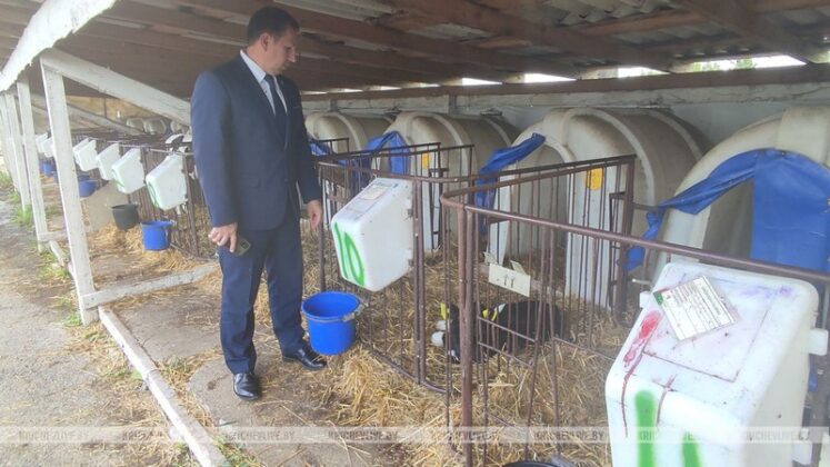 Узнали, о чем шел разговор Алексея Шарая с руководством и коллективом  СПК «Колхоз им. Суворова»