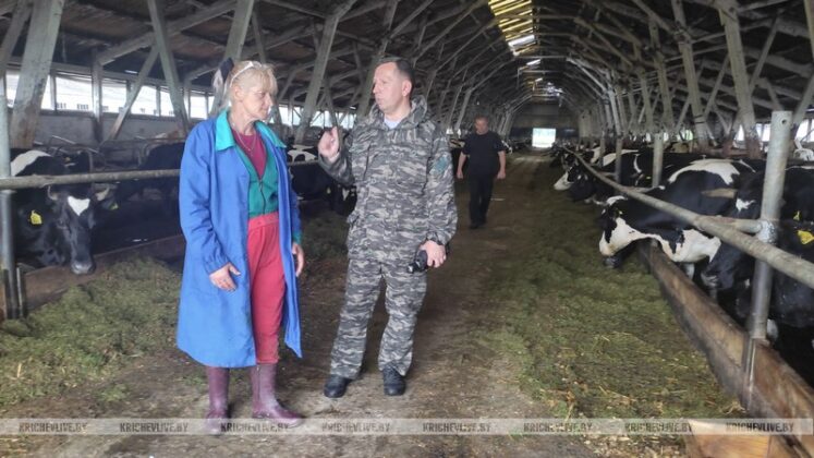 Председатель райисполкома посетил животноводческие объекты Кричевского района
