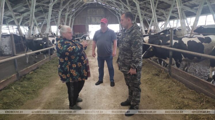 Председатель райисполкома посетил животноводческие объекты Кричевского района