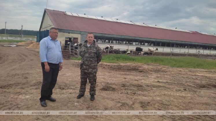 Председатель райисполкома посетил животноводческие объекты Кричевского района