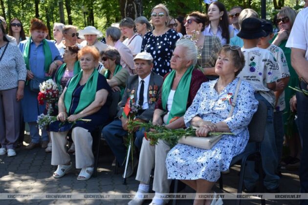 Торжественный митинг, посвященный Дню Независимости, прошел в Кричеве
