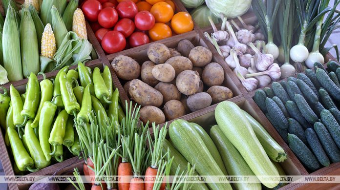 Какую сельхозпродукцию и по каким ценам принимают у населения, рассказали в Белкоопсоюзе