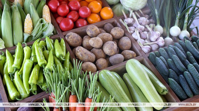 Сколько белорусы могут заработать на картофеле, огурцах и ягодах, рассказали в Белкоопсоюзе