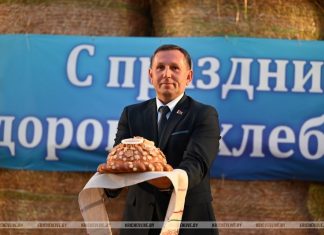 Без малого 40 000 зерна: таков вклад аграриев Кричевского района в миллионный каравай Могилевщины