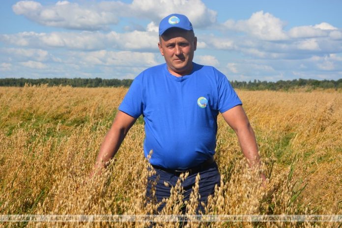 Труд на родной земле: Михаил Харунжий и его вклад в уборочную Кричевщины