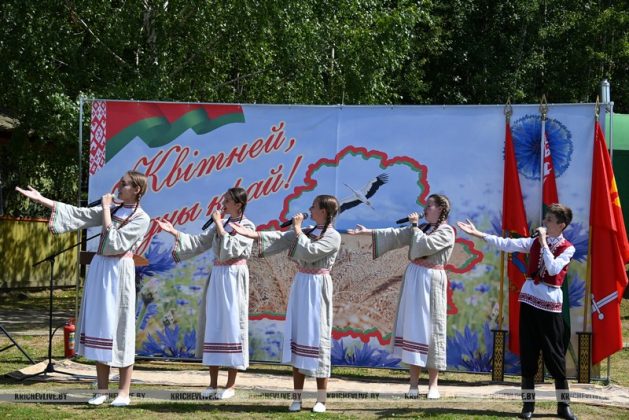 Узнали, как прошел праздник «Ботвиновские забавы»