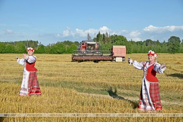 Первые тысячники на жатве-2025 определились в Кричевском районе