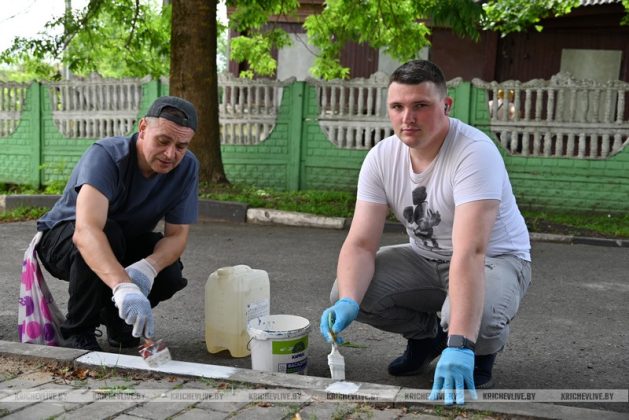 В Кричевском районе прошел субботник