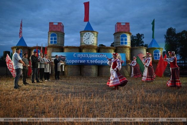 Без малого 40 000 зерна: таков вклад аграриев Кричевского района в миллионный каравай Могилевщины