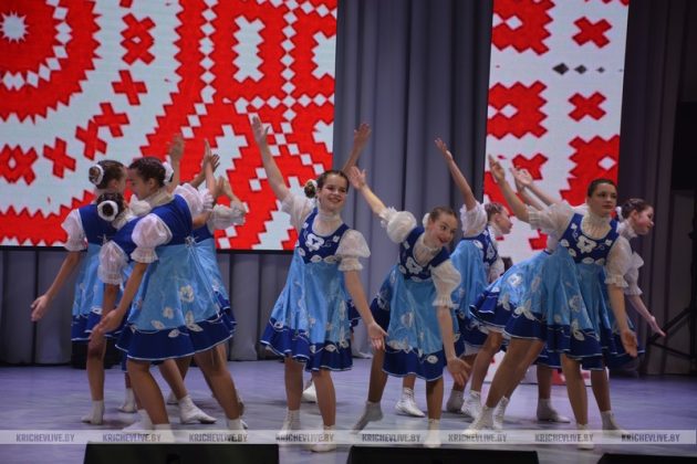 Узнали, как в Кричеве прошло праздничное мероприятие, посвященное Дню народного единства