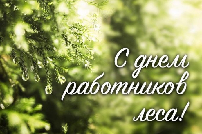 Руководство района поздравляет работников леса с профессиональным праздником