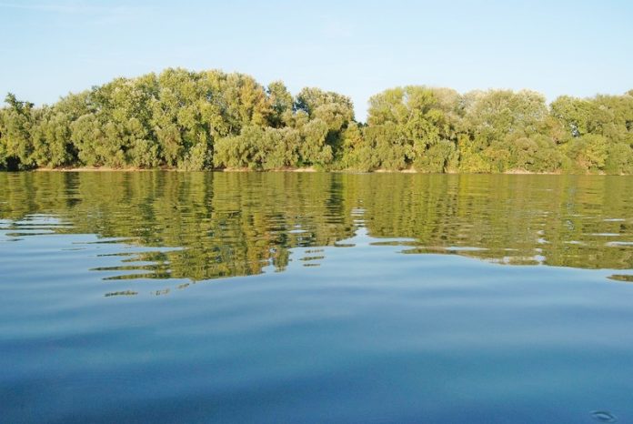 Безопасность у водоемов: ОСВОД призывает кричевлян к осторожности у водоемов