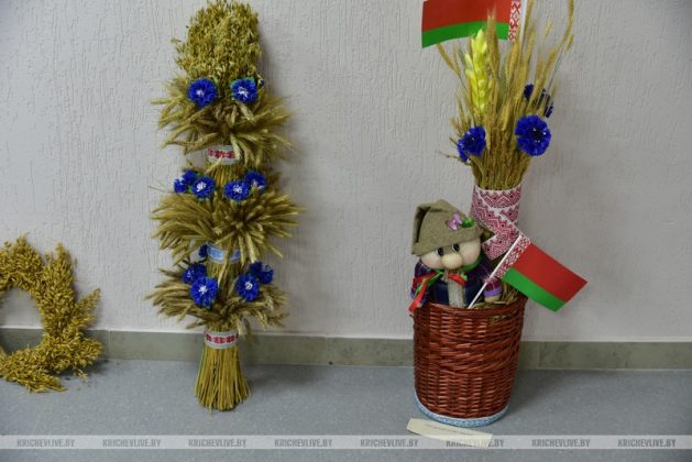 Лучший дожиночный сноп выбрали в Кричеве