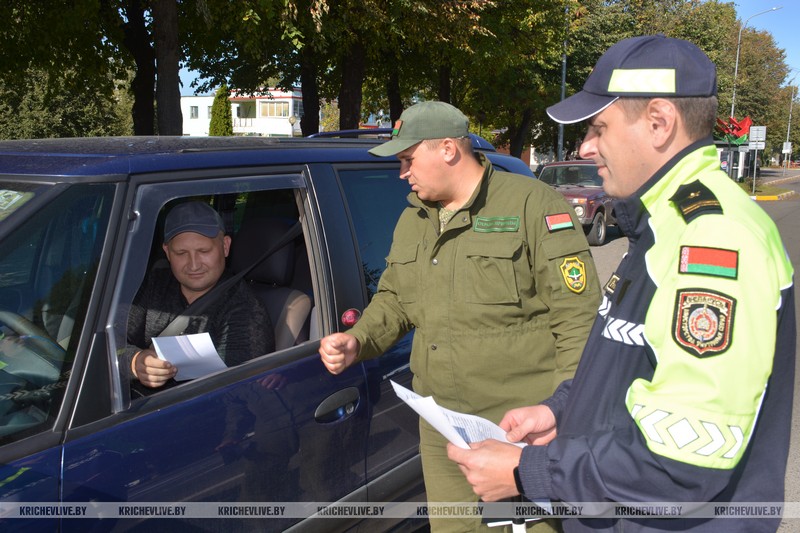 В Кричеве прошла республиканская акция «День без автомобиля»