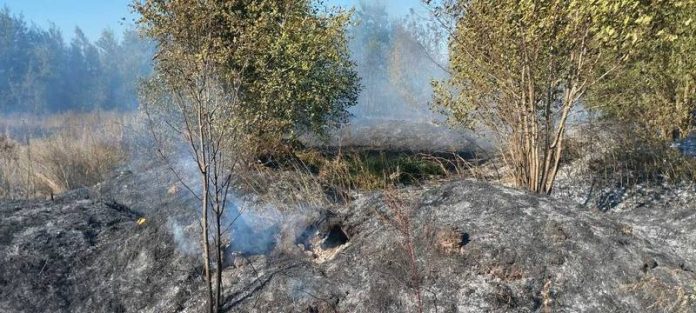 На Кричевщине тушили возгорание